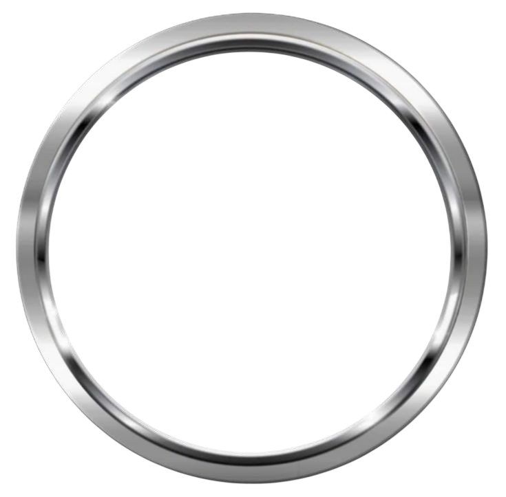 Metallic silver wheel skin